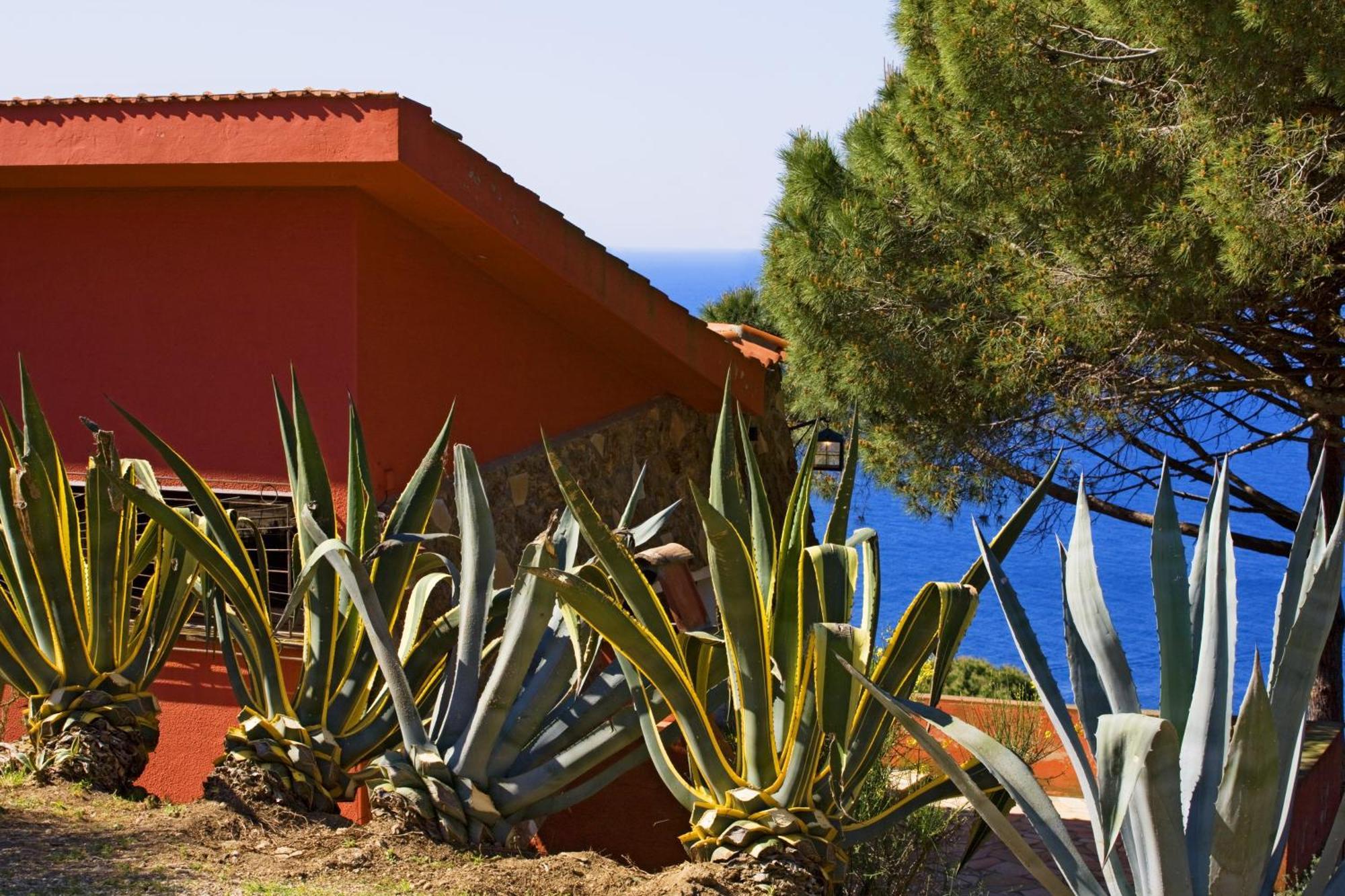 Tenuta Delle Ripalte Capoliveri  Pokoj fotografie