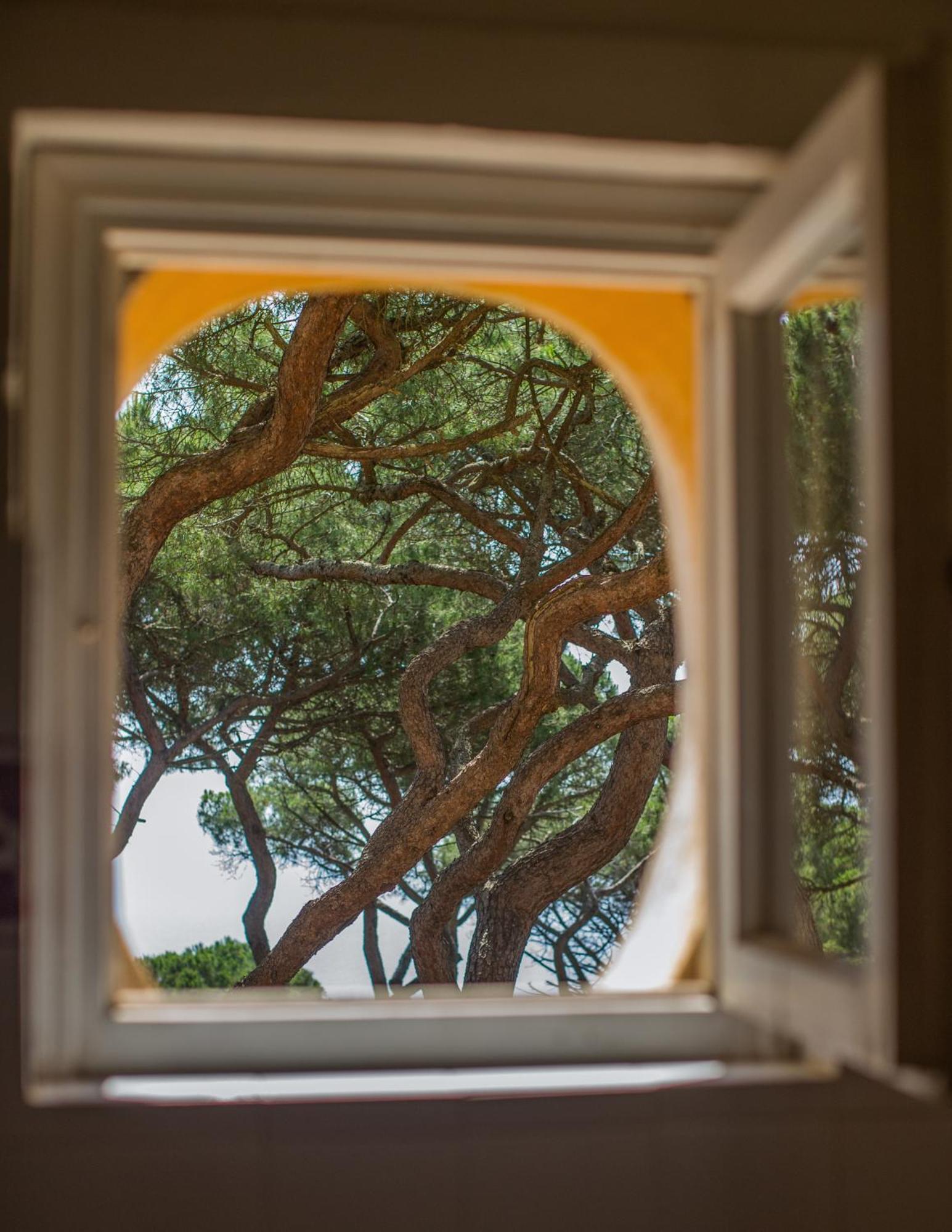Tenuta Delle Ripalte Capoliveri  Exteriér fotografie